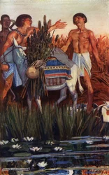 Le Fermier pille le Paysan, illustration de 